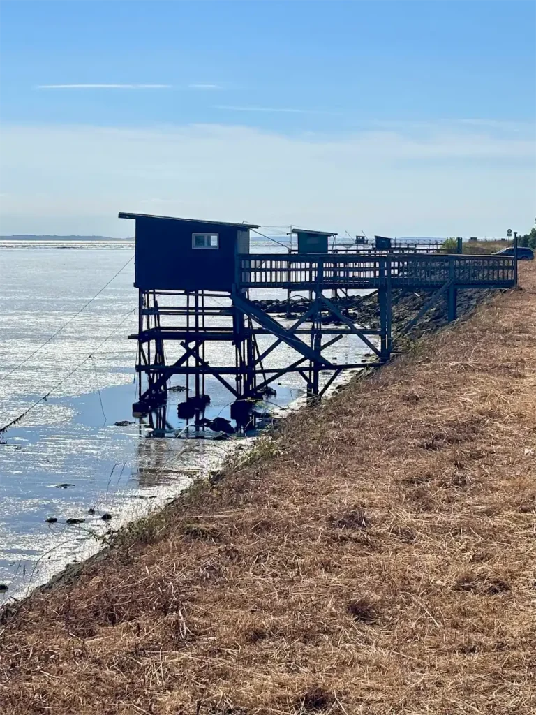 Uferlandschaft der Gironde mit mehre Stegen rechts
